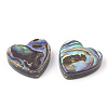 Abalone Shell/Paua Shell Beads X-SHEL-T005-01-2
