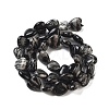 Natural Black Netstone Beads Strands G-B022-27C-4