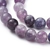 Natural Lepidolite/Purple Mica Stone Beads Strands G-E545-01A-6