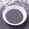 MIYUKI Delica Beads X-SEED-J020-DB1065-3