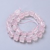 Natural Rose Quartz Beads Strands G-G801-02-2