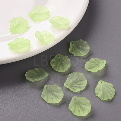 Transparent Frosted Acrylic Pendants MACR-S371-01A-728-1