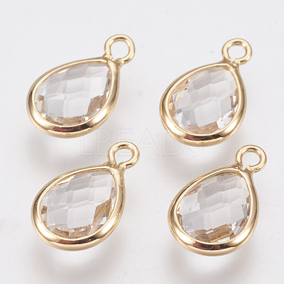 Glass Charms KK-Q752-001G-1