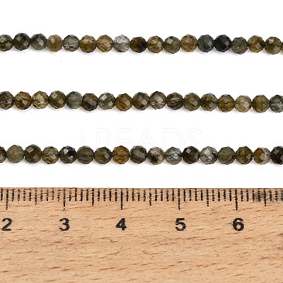 Natural Labradorite Beads Strands GG-CBA9722-A03-3mm-1
