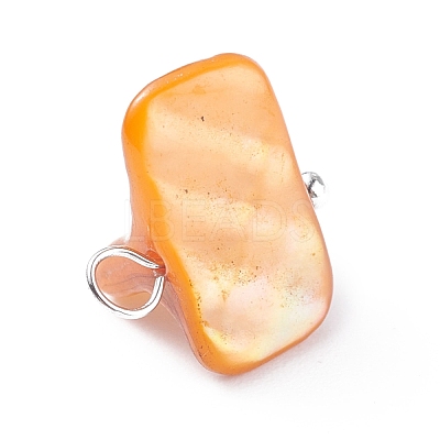 Natural Freshwater Shell Charms PALLOY-JF01352-03-1