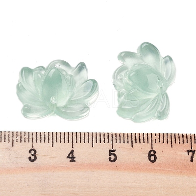 Acrylic Beads OACR-U001-05C-1