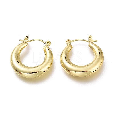 Brass Hoop Earrings LS-EJEW-H104-21G-1