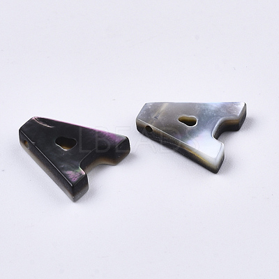 Natural Black Lip Shell Beads X-SSHEL-S265-001A-1