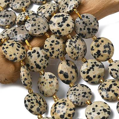 Natural Dalmatian Jasper Beads Strands G-A292-A06-01-1