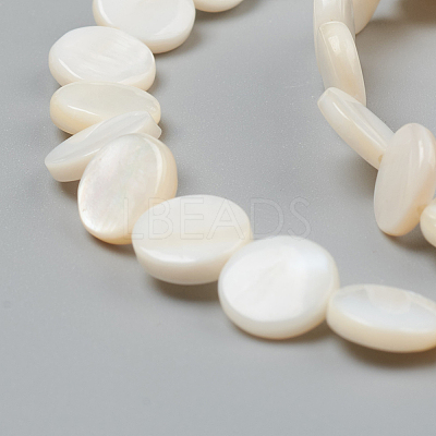Natural Freshwater Shell Beads X-BSHE-I011-01D-02-1