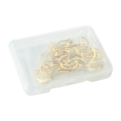 40Pcs 304 Stainless Steel Charms STAS-FS0001-51-1