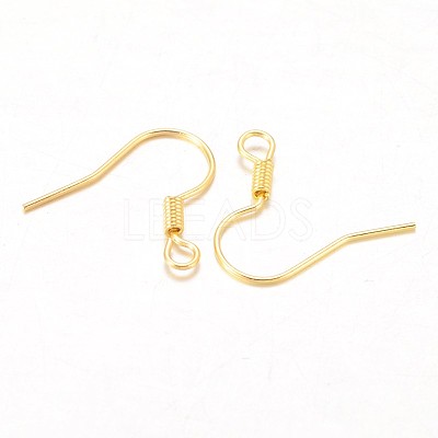 Iron Earring Hooks LS-X-E133-G-1