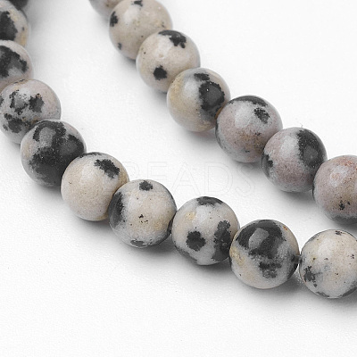 Natural Dalmatian Jasper Bead Strands G-G735-68-4mm-1
