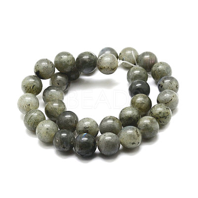 Natural Labradorite Bead Strands X-G-P256-01-6mm-1