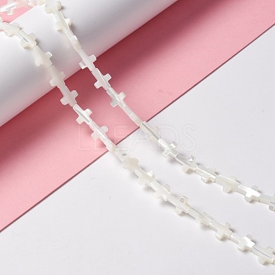 Natural Trochid Shell/Trochus Shell Beads SSHEL-O0001-22B-1