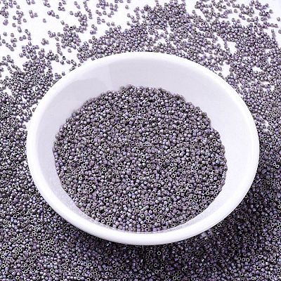 MIYUKI Delica Beads X-SEED-J020-DB1065-1