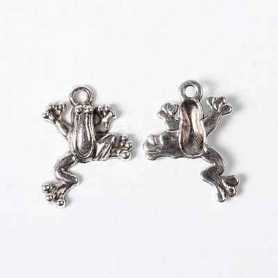 Alloy Pendants X-EJ10254-1