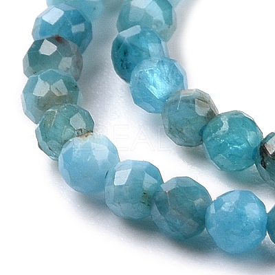 Natural Apatite Beads Strands G-E411-36-2mm-01-1