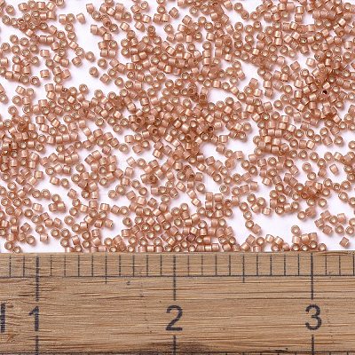 MIYUKI Delica Beads X-SEED-J020-DB2172-1