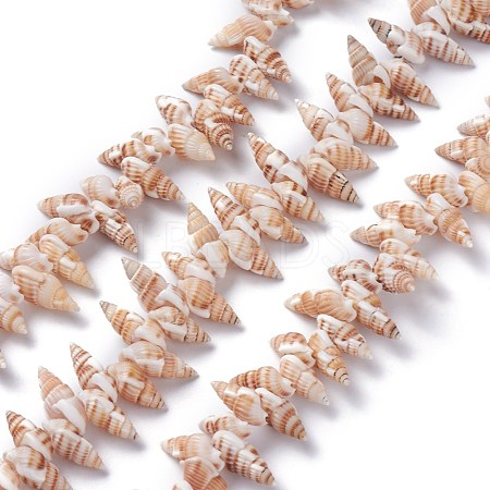 Natural Spiral Shell Beads Strands BSHE-I016-08-1