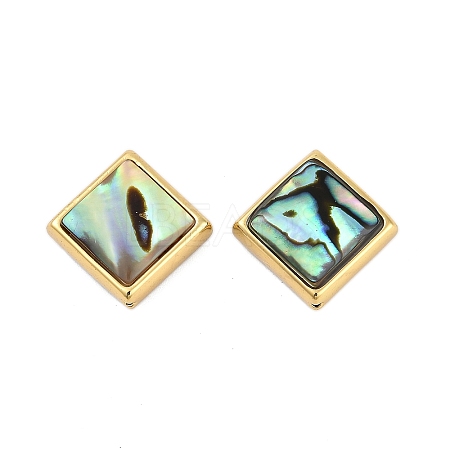 Natural Paua Shell Beads SSHEL-M024-03C-G-1