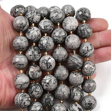 Natural Map Stone Beads Strands G-C249-A05-16mm-1