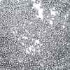 Transparent Inside Colours Glass Seed Beads X1-SEED-H003-04D-3