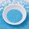 MIYUKI Delica Beads SEED-X0054-DB0725-2