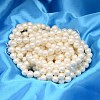 Round Shell Pearl Bead Strands BSHE-L011-8mm-A013A-2