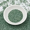 MIYUKI Delica Beads SEED-X0054-DB2190-2