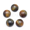 Natural Tiger Eye Cabochons G-P393-R12-10mm-1