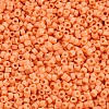 Glass Cylinder Beads SEED-S047-A-029-3