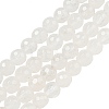 Natural Quartz Crystal Beads Strands X-G-E571-A11-01-1