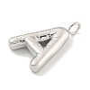Non-Tarnish 304 Stainless Steel Pendants STAS-C102-15P-A-2