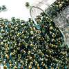 TOHO 8/0 Round Beads SEED-JPTR08-1014-1