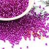 Glass Seed Beads SEED-S042-04B-21-1