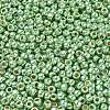 TOHO 6/0 Round Beads SEED-TR06-PF0560-3