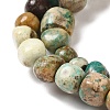 Natural Turquoise Beads Strands G-P506-06C-3
