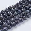 Natural Larvikite Beads Strands LS-G-G542-8mm-27-1