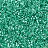 MIYUKI Round Rocailles Beads SEED-G009-RR0571-3