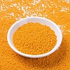 MIYUKI Round Rocailles Beads SEED-G007-RR4453-2