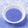 MIYUKI Delica Beads SEED-X0054-DB1405-2