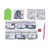 DIY Diamond Painting Stickers Kits For Plastic Mirror Making DIY-F059-40-2