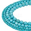 ARRICRAFT 4 Strands 4 Styles Synthetic Turquoise Beads Strands G-AR0005-10-1