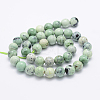 Natural Green Grass Jasper Beads Strands G-J373-03-9.5mm-3