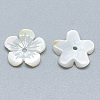 Natural White Shell Beads SSHEL-S260-059B-2