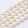 Natural Cultured Freshwater Pearl Beads Strands PEAR-S012-41C-2