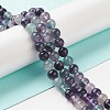 Natural Fluorite Beads Strands G-B038-C02-2