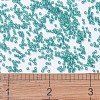 MIYUKI Delica Beads X-SEED-J020-DB1108-4