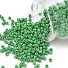 8/0 Glass Seed Beads X1-SEED-A010-3mm-47-1